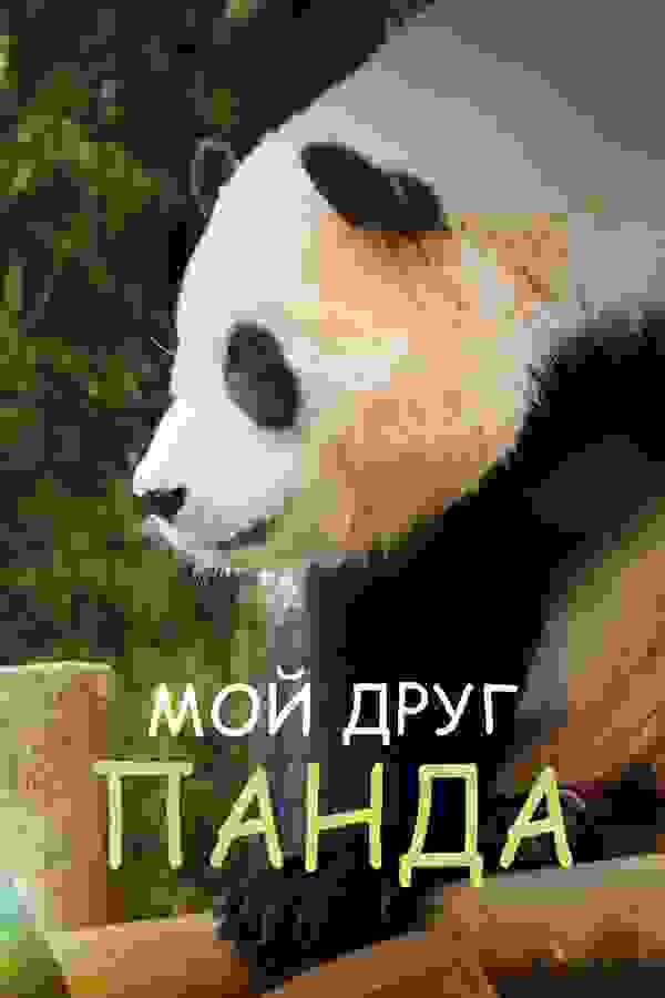 Размытый фон новости