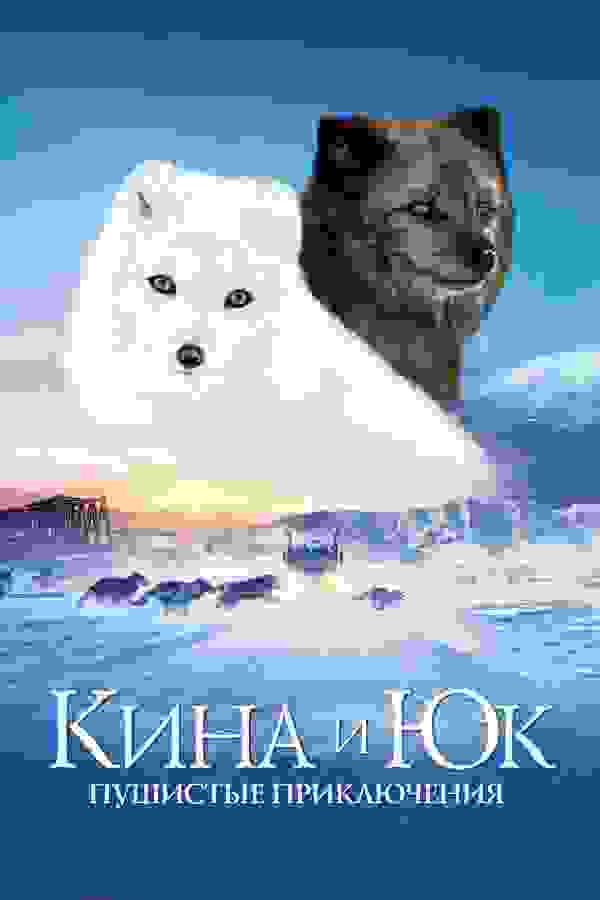 Размытый фон новости