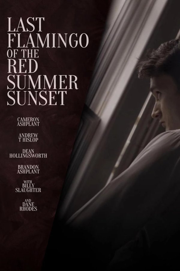 Последний фламинго красного летнего заката