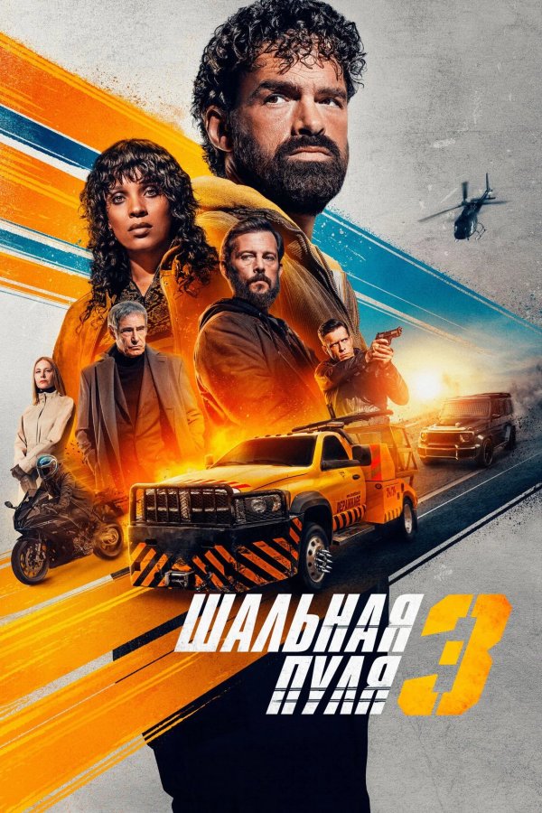 Шальная пуля 3