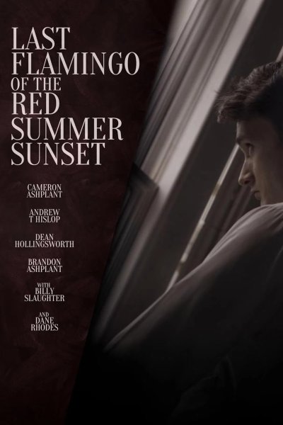 Последний фламинго красного летнего заката