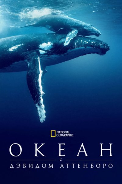 Дэвид Аттенборо: Океан